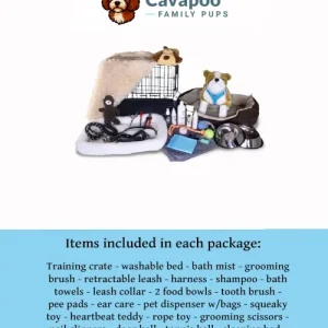 Complete Puppy Adoption Package: crate, bed, toys, leash, bowls, grooming and training supplies